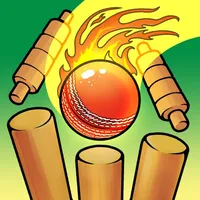 Real Cricket Bowling Practice icon