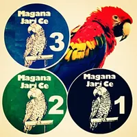 Magana Jari Ce 1 2 3 icon