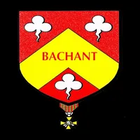Bachant icon