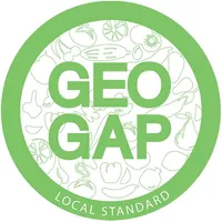 GeoGap icon