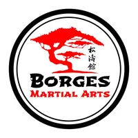 Borges Martial Arts icon