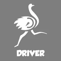 BLK Driver icon