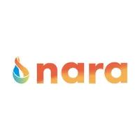 Nara icon