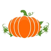 Pumpkin Preschool E.L.C. icon