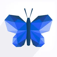 Morpho Converter icon