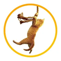 Save the Cat! icon