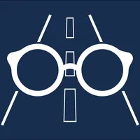 Vision & Road Safety Simulator icon