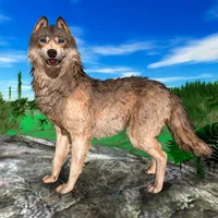 Wild Snow Wolf Simulator icon