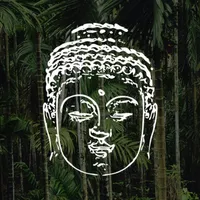 Bodhi Medical Qigong icon