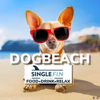 Single Fin Tuscany Dog Beach icon