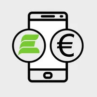 FE Payment icon