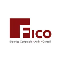 FICO icon