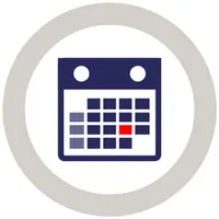 SMS Action Plan icon