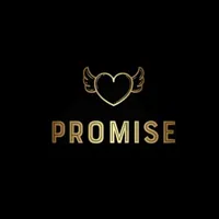 Promise Official icon