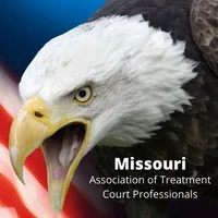 MO Association of Tx Court icon