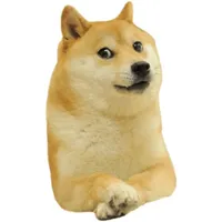 Doge Lore Stickers icon