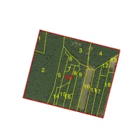 SmallForest Карта лісів icon