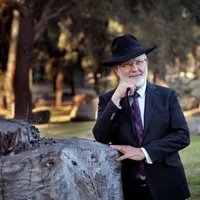 Rabbi David Lapin icon