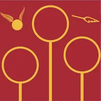 LetsQuidditch icon