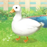 Duck Pet icon