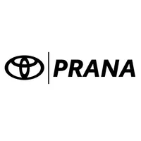 Prana icon