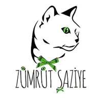 Zümrüt Şaziye icon