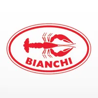 BIANCHI icon