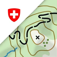 swisstopo icon