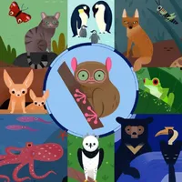 AmazingAnimalAtlas icon