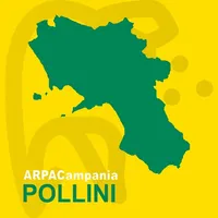 ARPAC Pollini icon