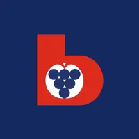 Beratungsring App (neu) icon