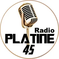 Platine 45 Radio icon