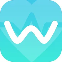 Wesoolink icon