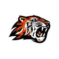 Howland Local Tigers, OH icon