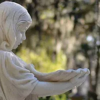 Bonaventure Cemetery Tours icon