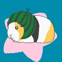 guineapig-collection icon