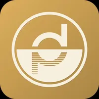 DP MIRROR icon