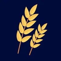 Bread Planner icon