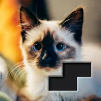 Block Square Jigsaw icon