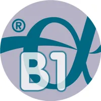 Englisch Basis 1 icon