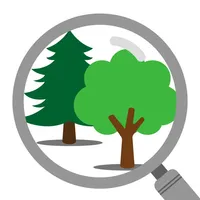 iSeaTree icon