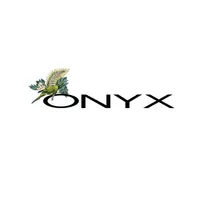 Onyx icon