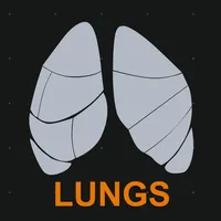 Lungs Respiratory System icon