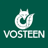 Vosteen icon