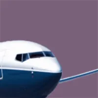 B737NG Questions icon