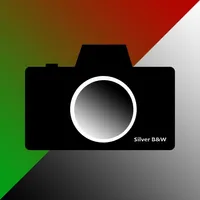 Silver B&W Camera icon