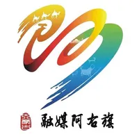 融媒阿右旗 icon