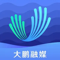 深爱大鹏 icon