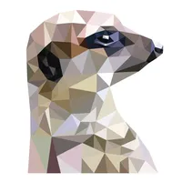 MeerKAD icon