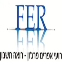 רועי אפרים פרגון רואה חשבון icon